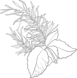 Freshivores
