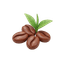 Beans n' Leaves