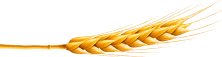 Flour Mill