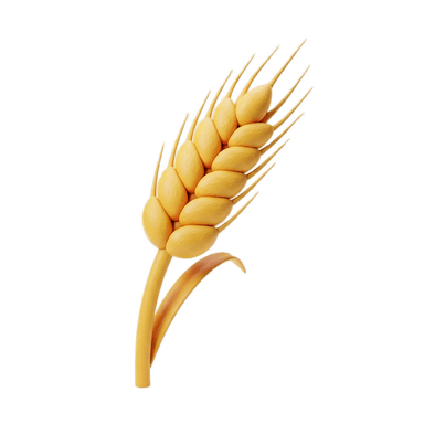 Flour