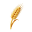 Flour