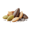 Seeds